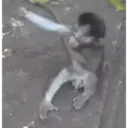 स्टिकर