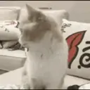 LOL gifs 7