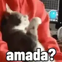REAÇÕES DE DEBOCHE 🤭😌🤣 13