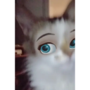Gatos 1