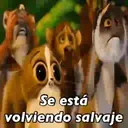 Memes variados 6 4