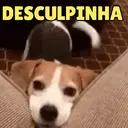 ENGRAÇADAS DO DIA 12