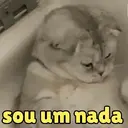 ENGRAÇADAS DO DIA 14