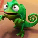 Reações do camaleão Pascoal 9