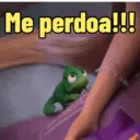 Reações do camaleão Pascoal 11