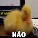 MEMES ENGRAÇADOS 13