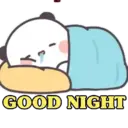 Funny Panda 🐼 5