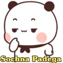 Funny Panda 🐼 9