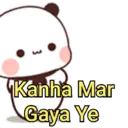 Funny Panda 🐼 10
