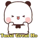 Funny Panda 🐼 13