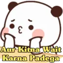 Funny Panda 🐼 19