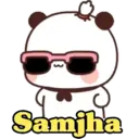 Funny Panda 🐼 23
