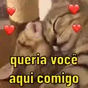 Memes que falta vc ter 1