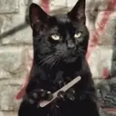SÓ DEBOCHES DE QUALIDADE 6