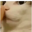 Vem cá,olha essas figurinha 15