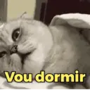 Memes do dia🌟 9