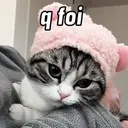 Gatinhos fofos v5 ❤️ 1