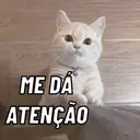 Gatinhos fofos v5 ❤️ 4