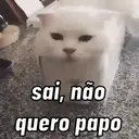 Gatinhos fofos v5 ❤️ 8