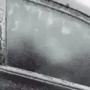 Funny Reactions 1
