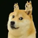 FUNNY MEMES 6
