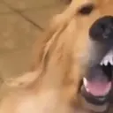 FUNNY MEMES 7