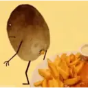 FUNNY MEMES 11