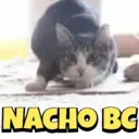 FUNNY MEMES 12