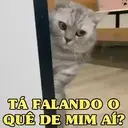 MEMES DE GATINHOS 😻🐈‍⬛ 1