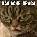 MEMES DE GATINHOS 😻🐈‍⬛ 2