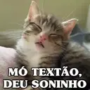 MEMES DE GATINHOS 😻🐈‍⬛ 4