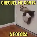 MEMES DE GATINHOS 😻🐈‍⬛ 5