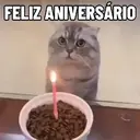 MEMES DE GATINHOS 😻🐈‍⬛ 8