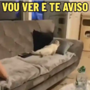 MEMES DE GATINHOS 😻🐈‍⬛ 9