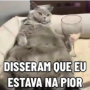 MEMES DE GATINHOS 😻🐈‍⬛ 10