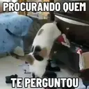 MEMES DE GATINHOS 😻🐈‍⬛ 12