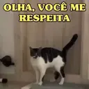 MEMES DE GATINHOS 😻🐈‍⬛ 13