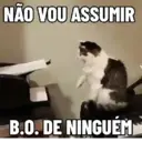 MEMES DE GATINHOS 😻🐈‍⬛ 14