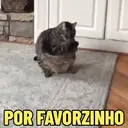 MEMES DE GATINHOS 😻🐈‍⬛ 15
