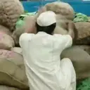 Funny Memes 1