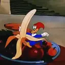 PICA-PAU SINCERO 14