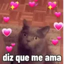 SEGUNDONA 9
