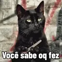 Drama 😸 5