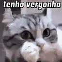 Melhores memes da semana ✨ 14