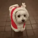 Então é natal🎄 1