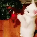 Então é natal🎄 11
