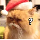 Então é natal🎄 14