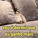 Reações 🐈🐕♥️ 2
