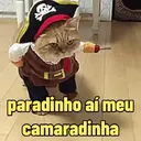 Reações 🐈🐕♥️ 3