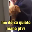 Reações 🐈🐕♥️ 4